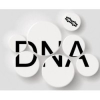 沈阳DNA司法鉴定
