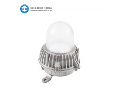 大理化工厂LY8806 防眩应急泛光灯/应急平台灯
