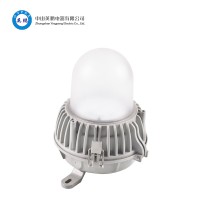 大理化工厂LY8806 防眩应急泛光灯/应急平台灯